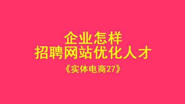 企业怎样招聘网站优化人才《实体电商27》