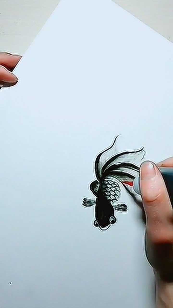 黑色的小金鱼画出来超级的好看看着复杂其实很简单