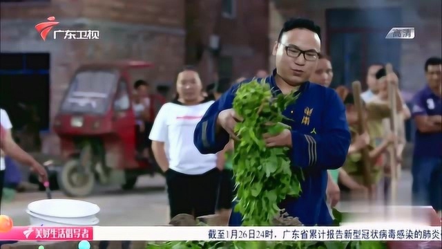 老广的味道:分龙节前夕蒸上五色糯米饭预祝五谷丰登