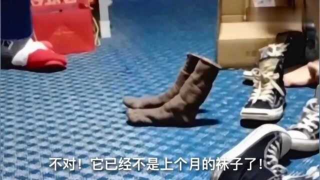 搞笑:这是一双有味道的袜子,不是上个月的袜子而是前年的袜子!哈哈哈