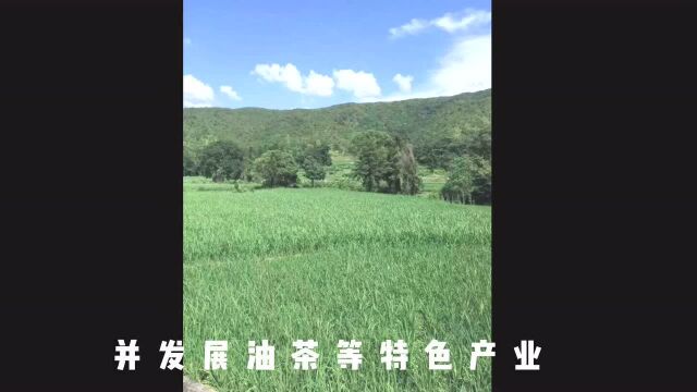 最美风景我的故乡