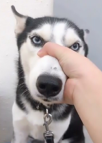 好了,你别再说了