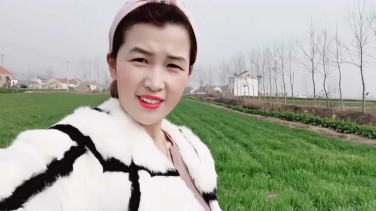 大平姐的非洲vlog:带你们看看我家有多少田,有想来继承田业的吗?