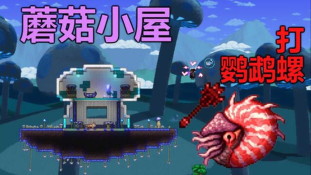 Terraria1.4大师:单人型蘑菇小屋建成【25】