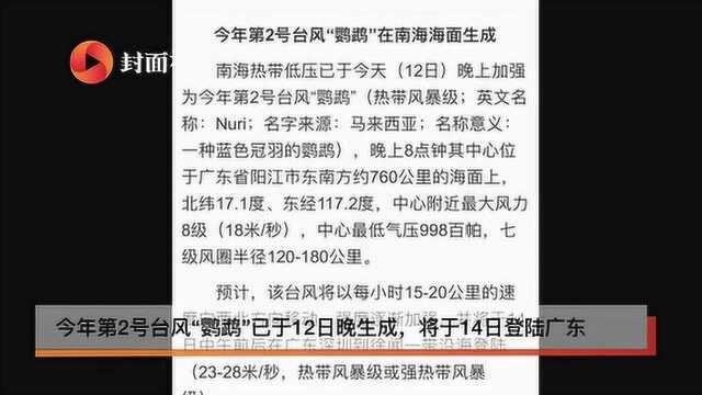 台风“鹦鹉”将登陆广东 水利部:密切监视动向 及时通报江河水情