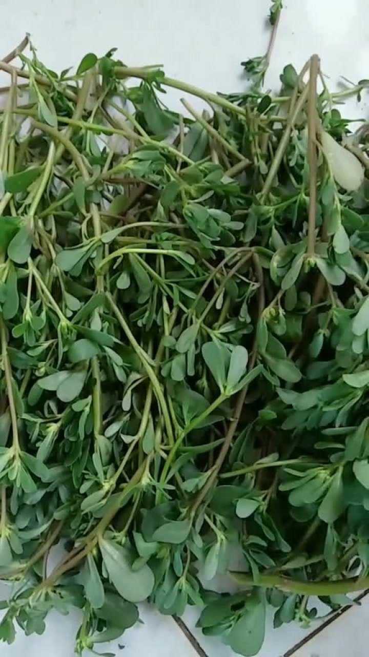 储存马蛇菜的新方法,留着冬天吃,干爽翠绿