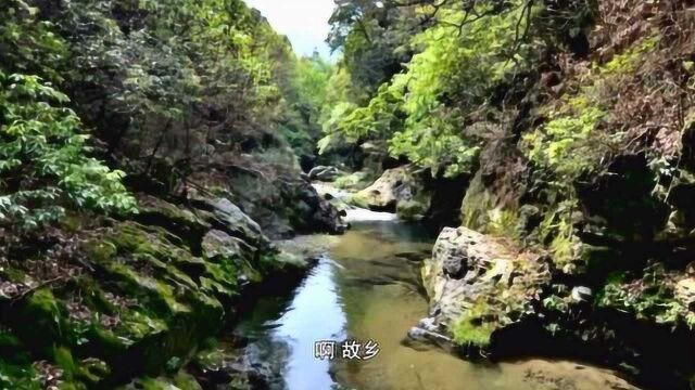 走进安徽池州大山村,赏绿水青山自然风光(一)