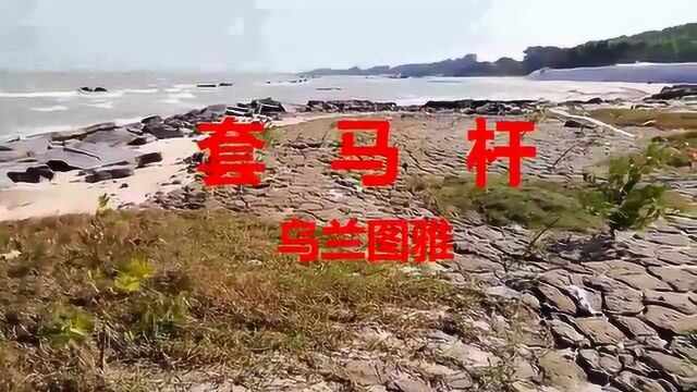 《套马杆》的歌词找不到一个“爱”字,它比其他情歌爱得越深