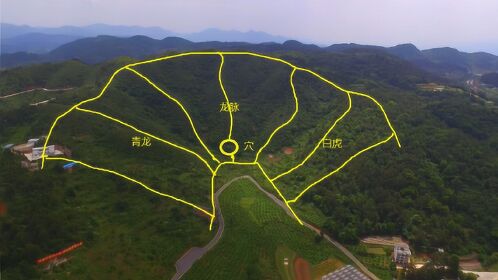 此地青龙白虎左右护主正穴处在龙脉背上这才是上乘的风水宝地