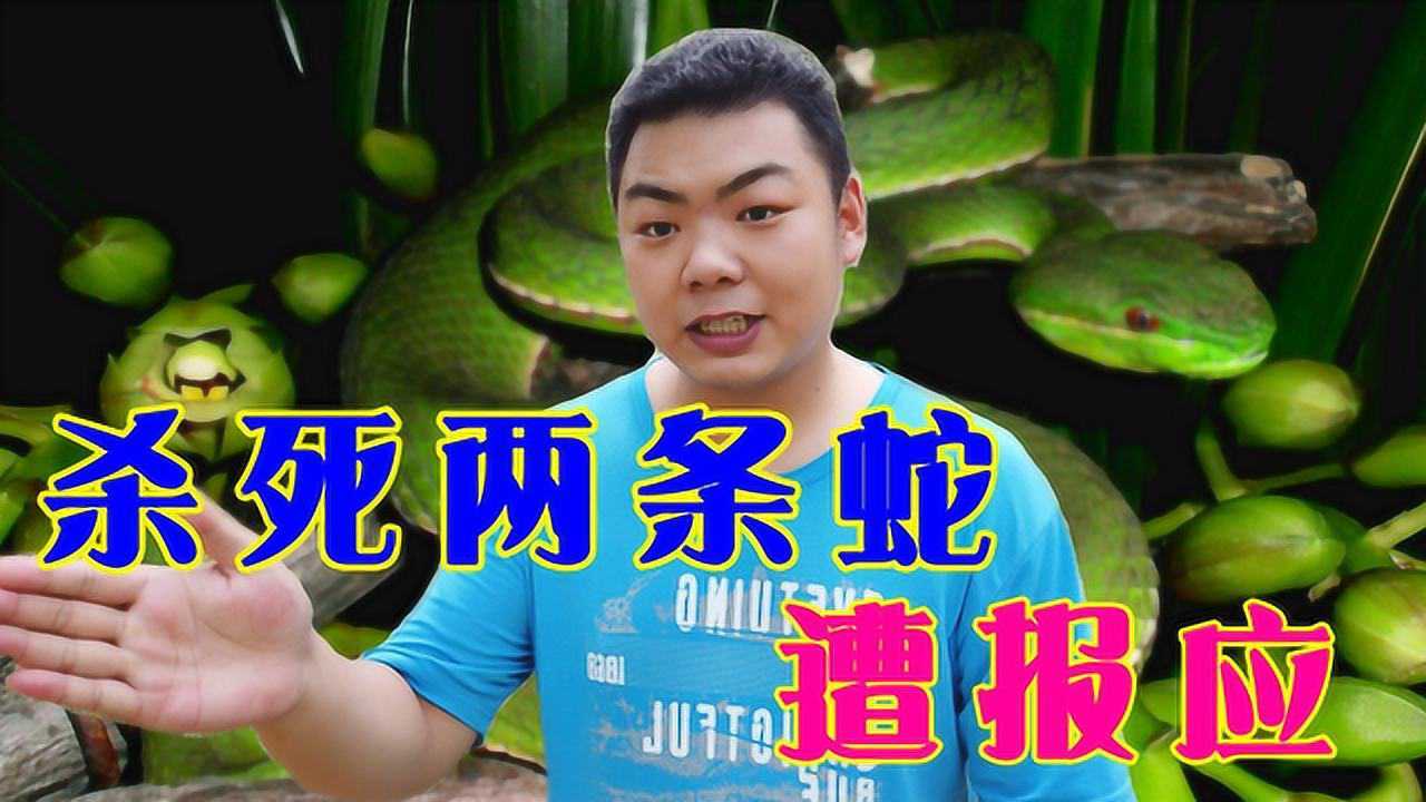 遭报应了,家蛇真的不能打吗