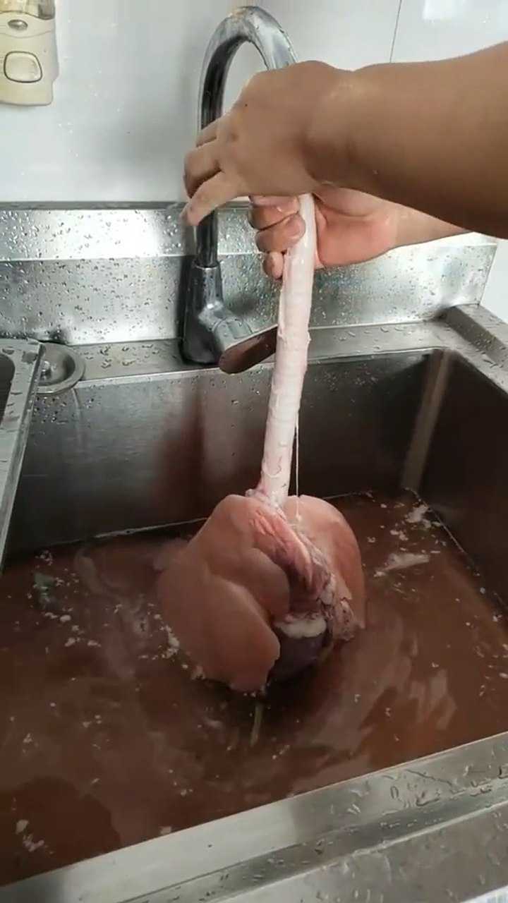 好大一套猪下水你知道这是哪个部位吗