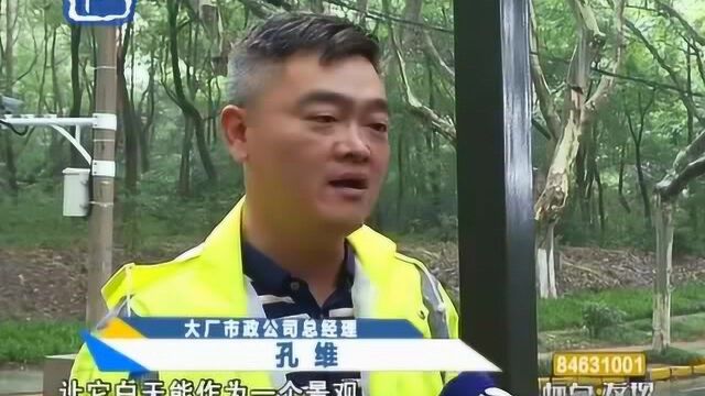 南京:破解“行路难” 江北新区推进“行满意”项目