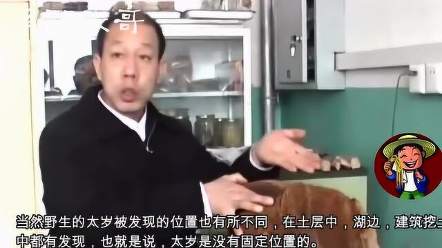 在《本草纲目》中被喻为“民间神药”,一斤的价钱就能买套房