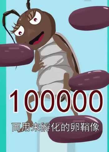 你知道吗?一只母蟑螂,1年可以生10万只宝宝!