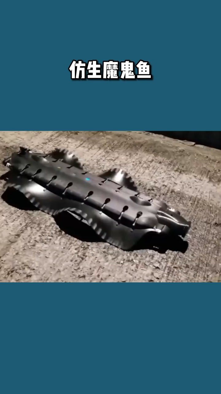 仿生魔鬼鱼