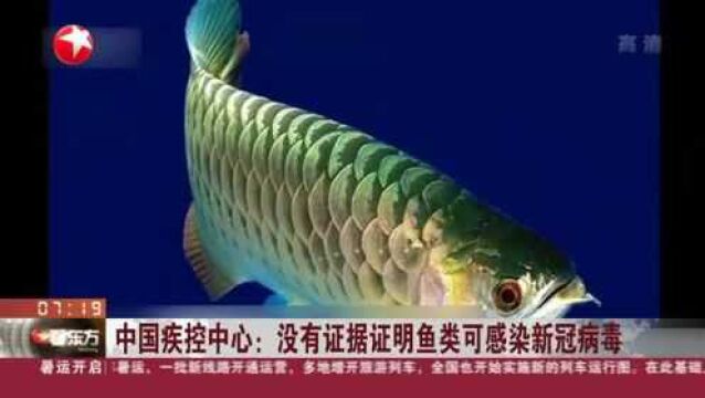 中国疾控中心:没有证据证明鱼类可感染新冠病毒