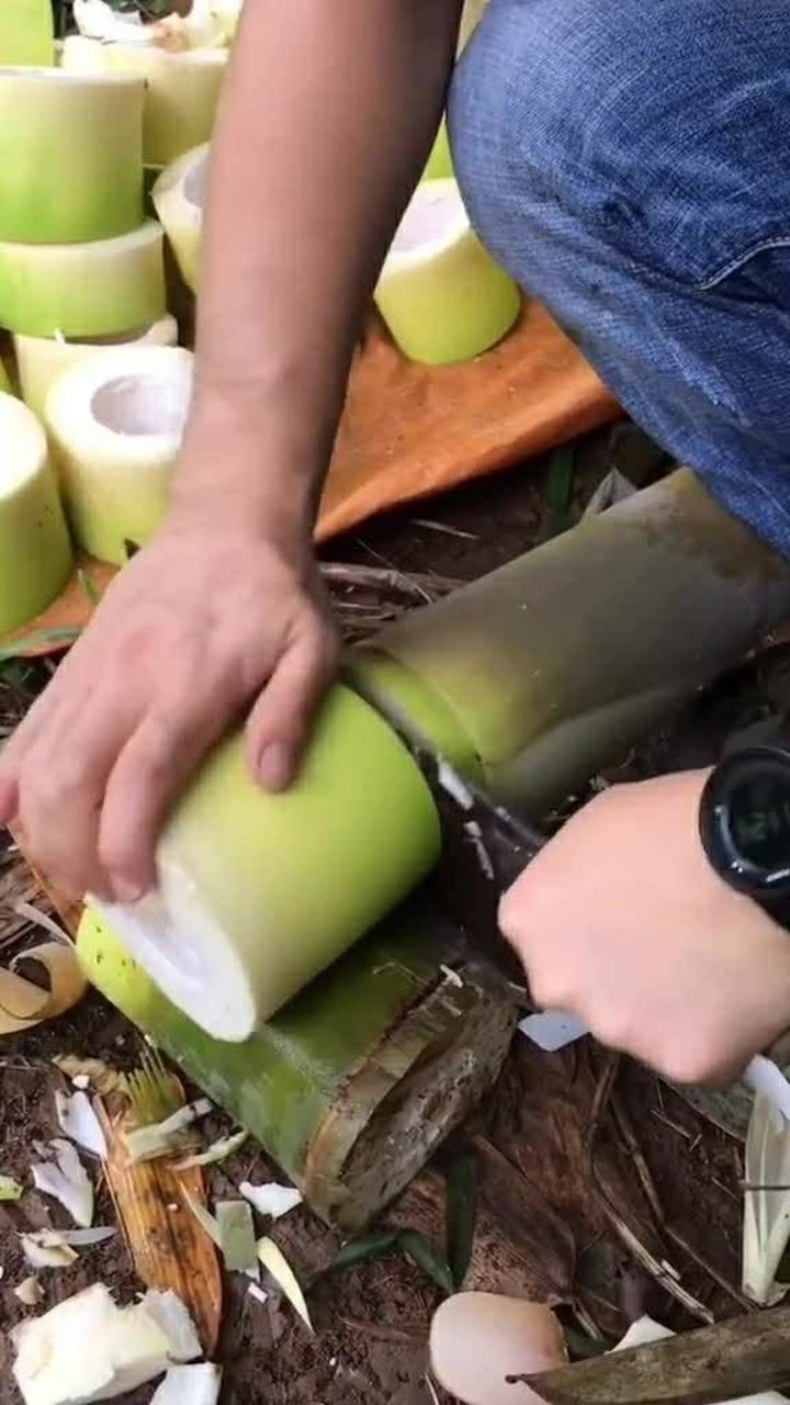 正在给小宝贝切竹子,看把小宝贝馋的