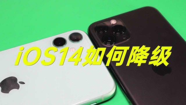 iOS14 降级教程:升级后觉得不好用?现在“后悔药”来啦!