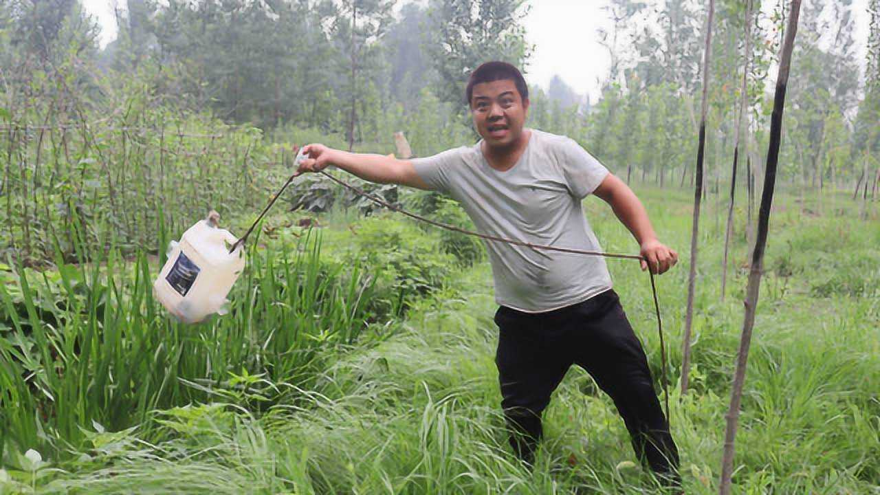 小虎走乡村为你推荐自动连播01:14今天野采到了几只大蝌蚪!