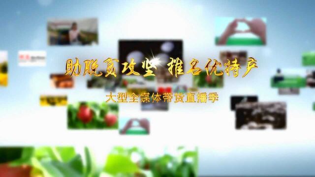 助脱贫攻坚 推名优特产石家庄广播电视台网络直播带货季活动明天启幕