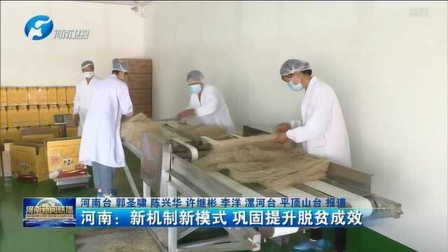 河南:新机制新模式 巩固提升脱贫成效