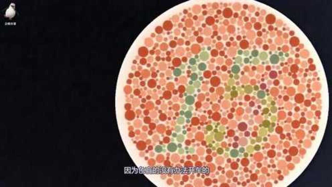 色盲眼中的世界是怎样的?看完太心酸了