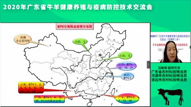 牛羊虫媒病毒病的流行情况与防控技术7月25号(腾讯新闻科学知识官)