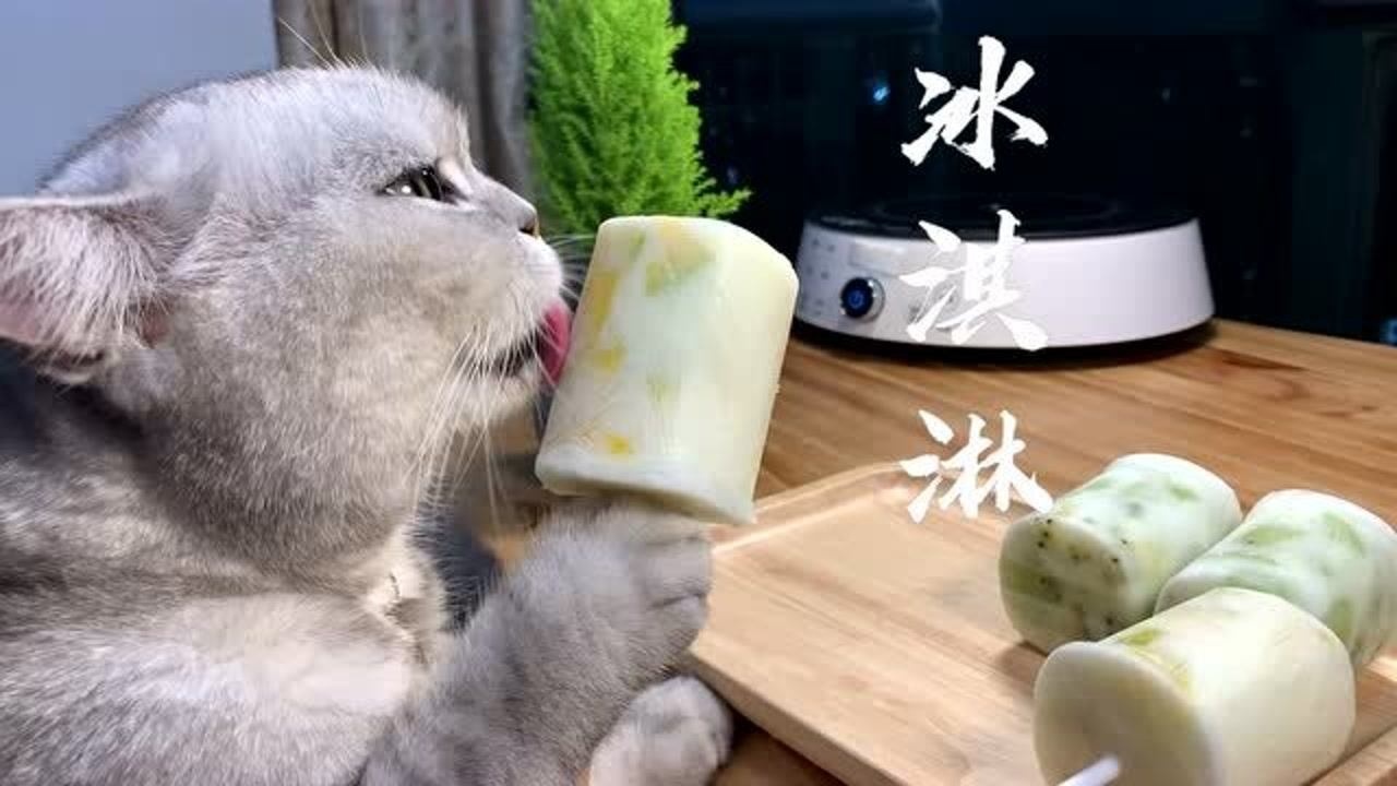 【料理猫王】史上最简单的冰棍做法,连模具都不要!