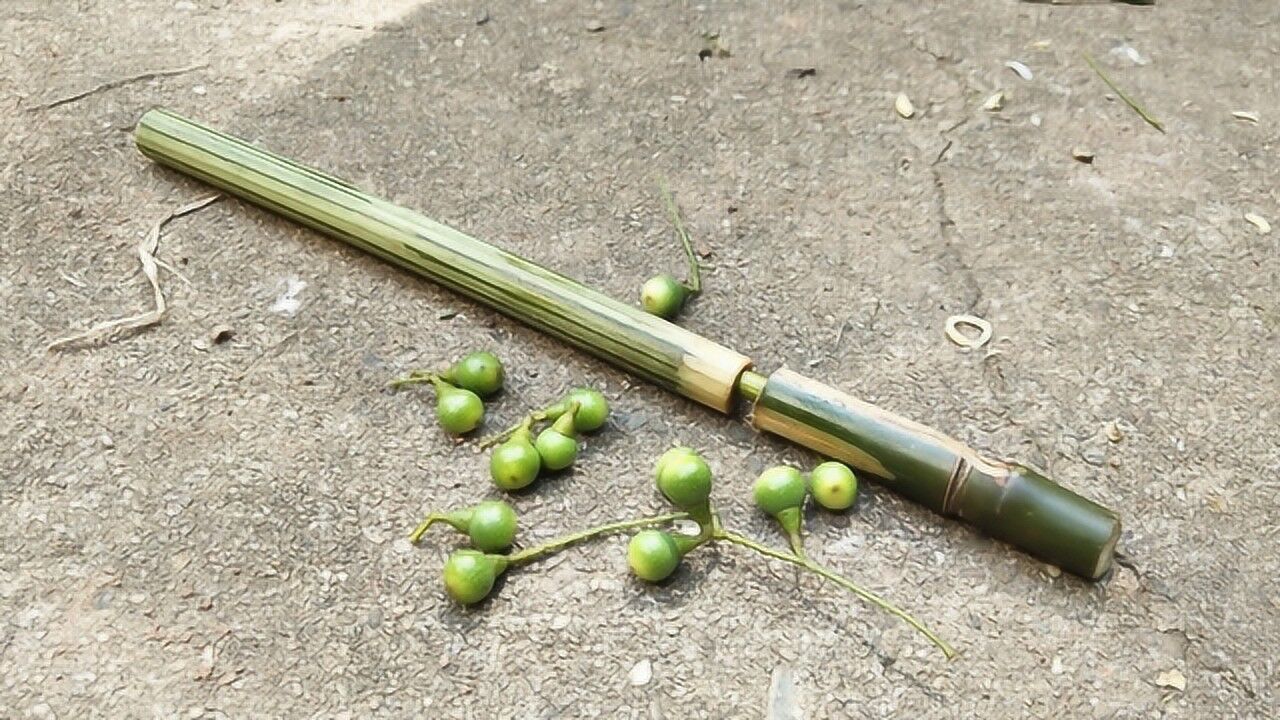一根竹子做一把玩具枪这种竹筒枪你小时候玩过吗