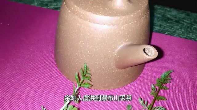 茶养道课堂:茶经诵读《46》馀姚人虞洪入瀑布山采茗遇道人