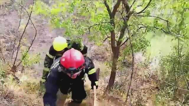 北京市平谷区山火明火全部扑灭