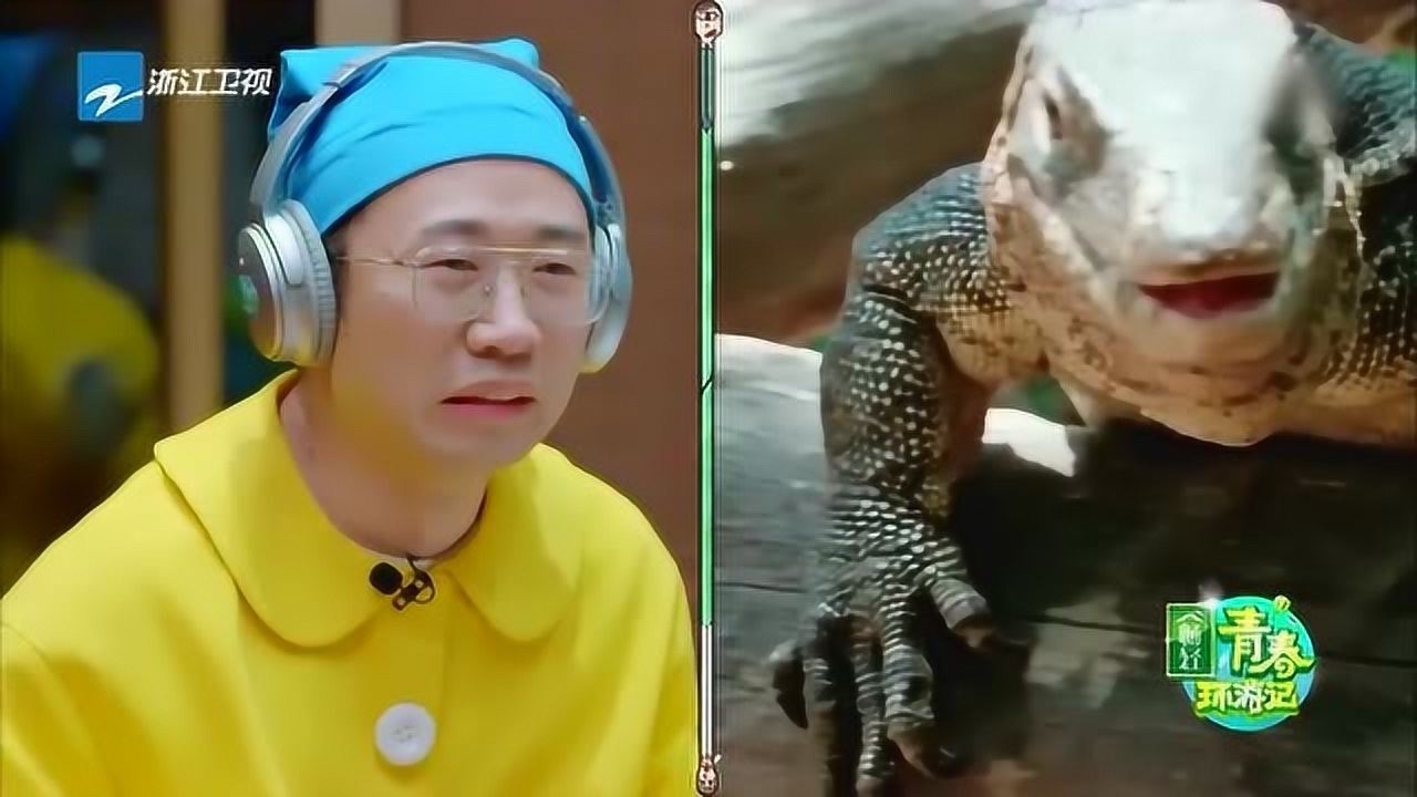 青春环游记:杨迪模仿蜥蜴?相似度100%