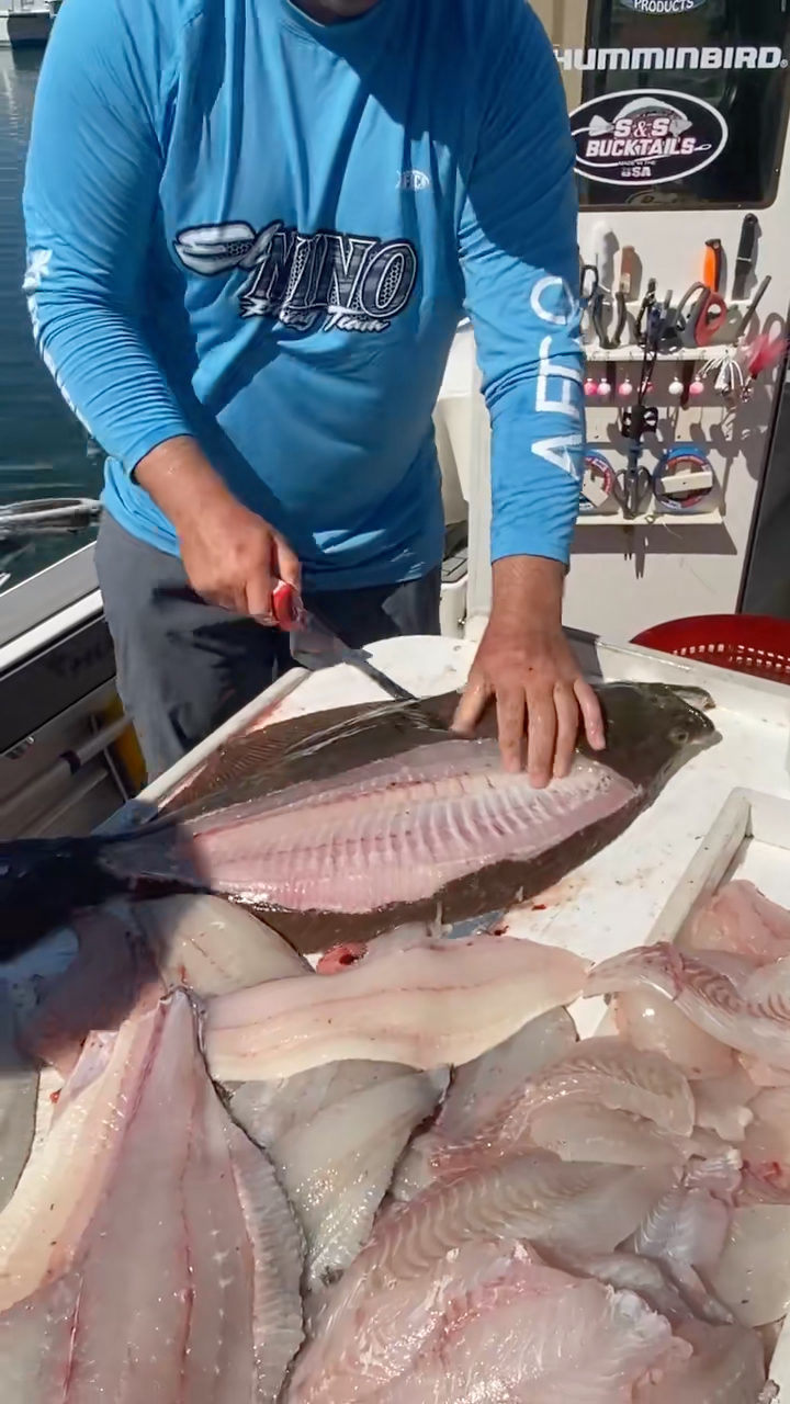 分解新鲜的左口鱼,大家喜欢吗?