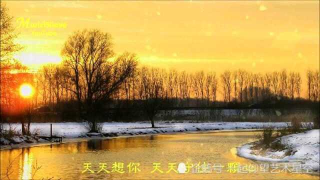 平安《天天想你》,配图音乐欣赏