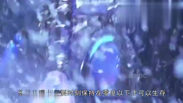 一分钟了解DC高人气反派“急冻人”