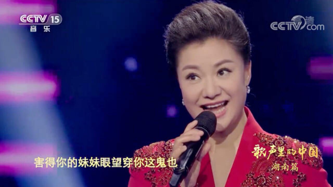 《思情鬼歌》演唱:王丽达