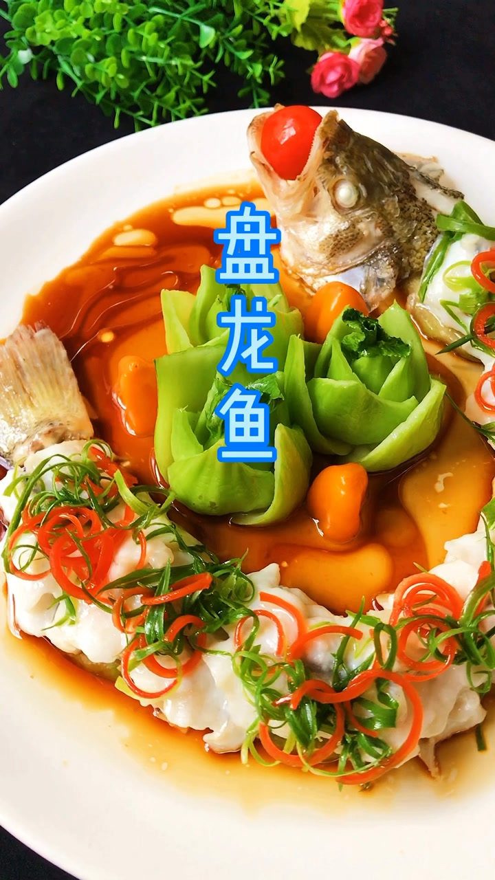 盘龙鱼图片,正宗(第11页)_大山谷图库