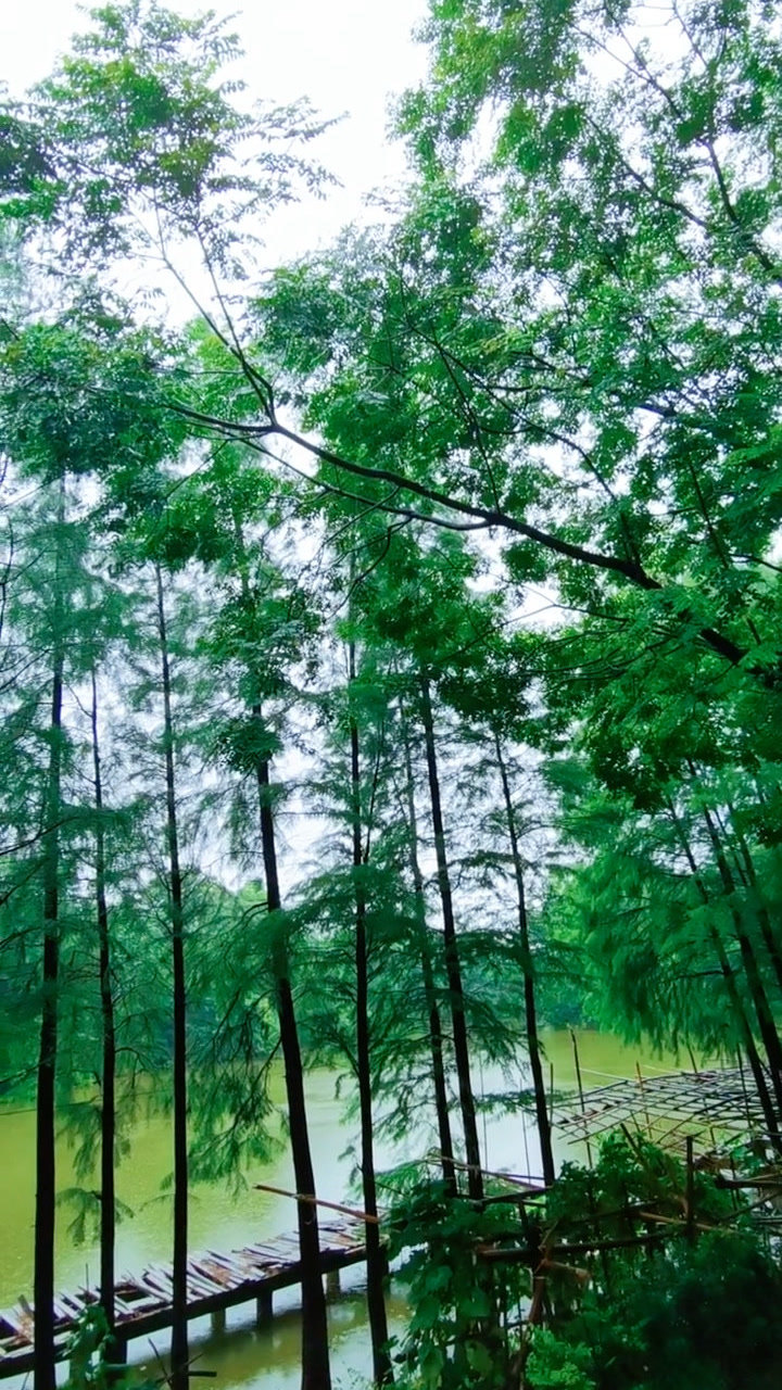 雨季的桂林山水,雨后的清新空气
