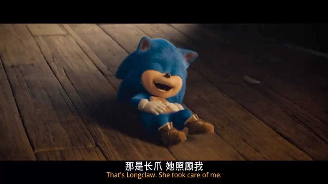 儿时的刺猬索尼克