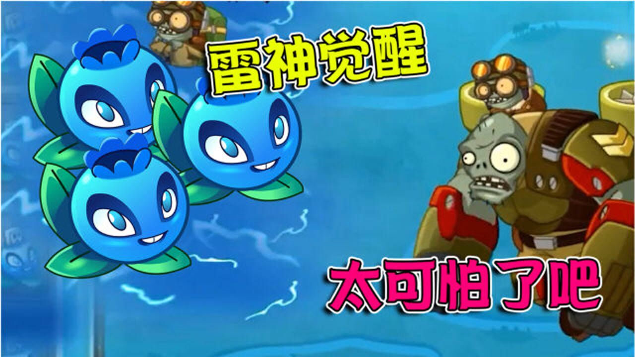 植物大战僵尸:五阶的电击蓝莓,你知道有多强吗?僵尸:太可怕了