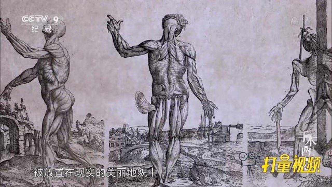 维萨里《人体的构造》——现代解剖学的奠基之作