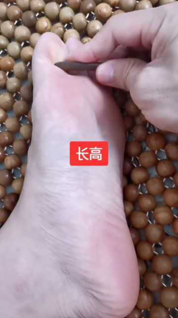 足底脑垂体反射区每年白露到立冬调理长高的最佳时机