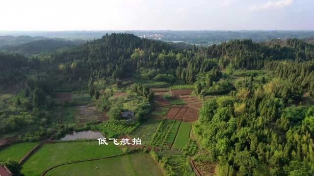 航拍风水宝地下山蛇儿,堪称成都第一墓地风水龙脉,可惜错建寺庙