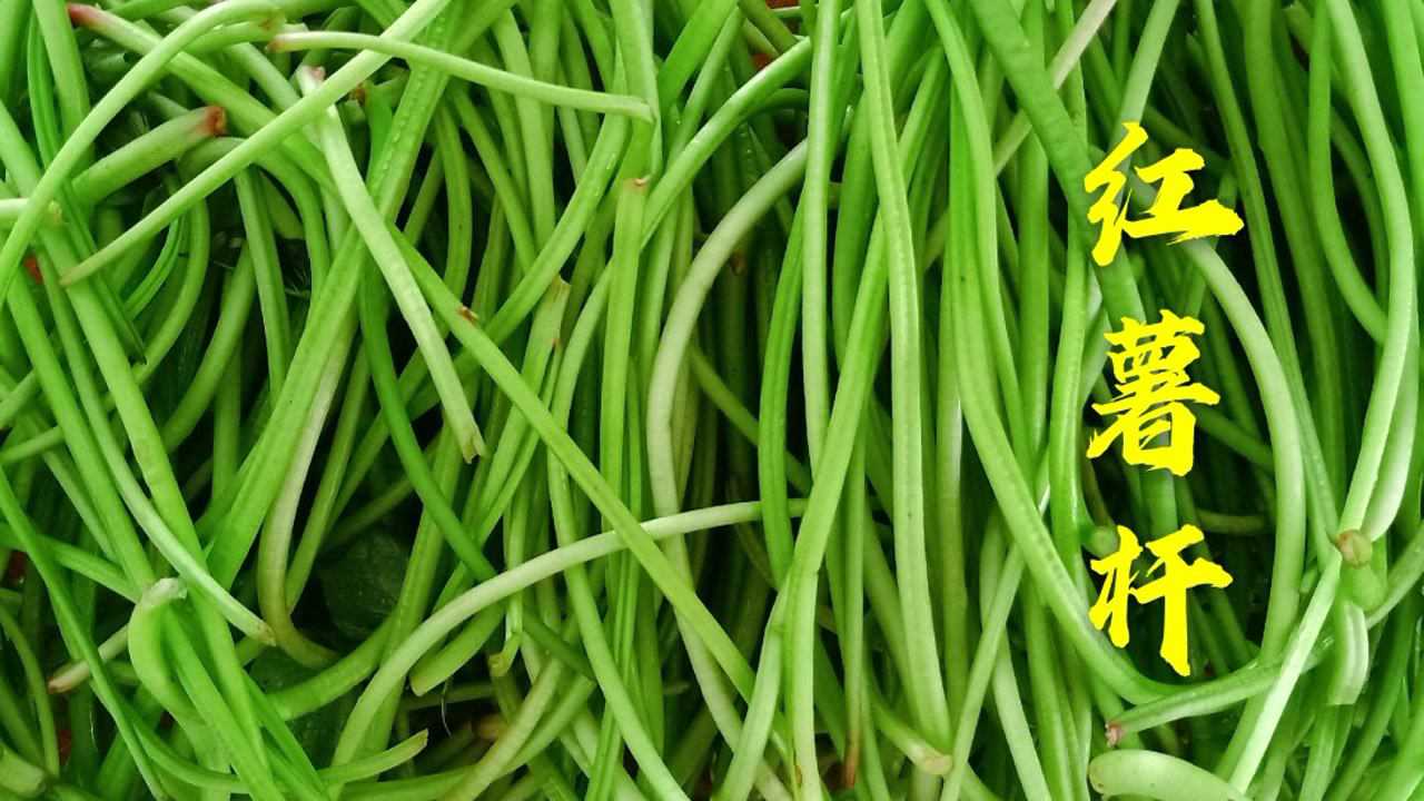 农村人不稀罕的红薯杆,3种做法3种口味,保护视力又美味