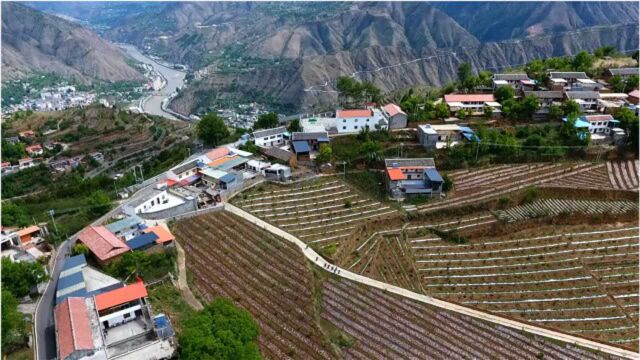 黄土路变柏油路,四川阿坝州高海拔村庄走出脱贫新路子