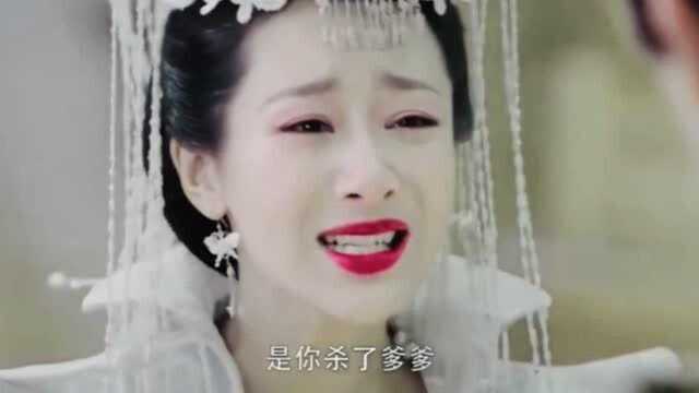 “你可曾,爱过我,从未”