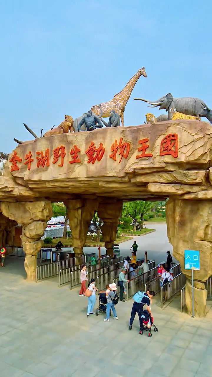 南京金牛湖野生動物園 頓時童心爆棚.