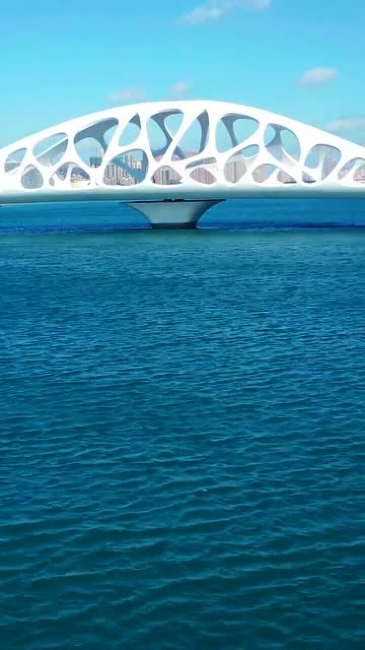 星光岛贝壳桥,你想和谁来!