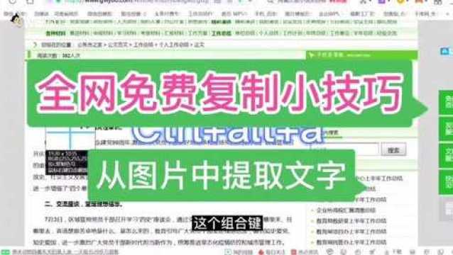 教你全网免费复制文字小技巧,更有从图片中提取文字,学会涨知识