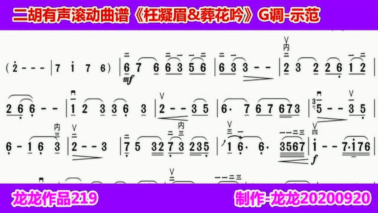 龍龍作品219二胡有聲滾動曲譜枉凝眉葬花吟g調示範